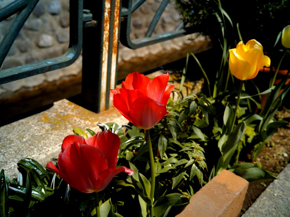 Mizonokuchi, 10th Apr