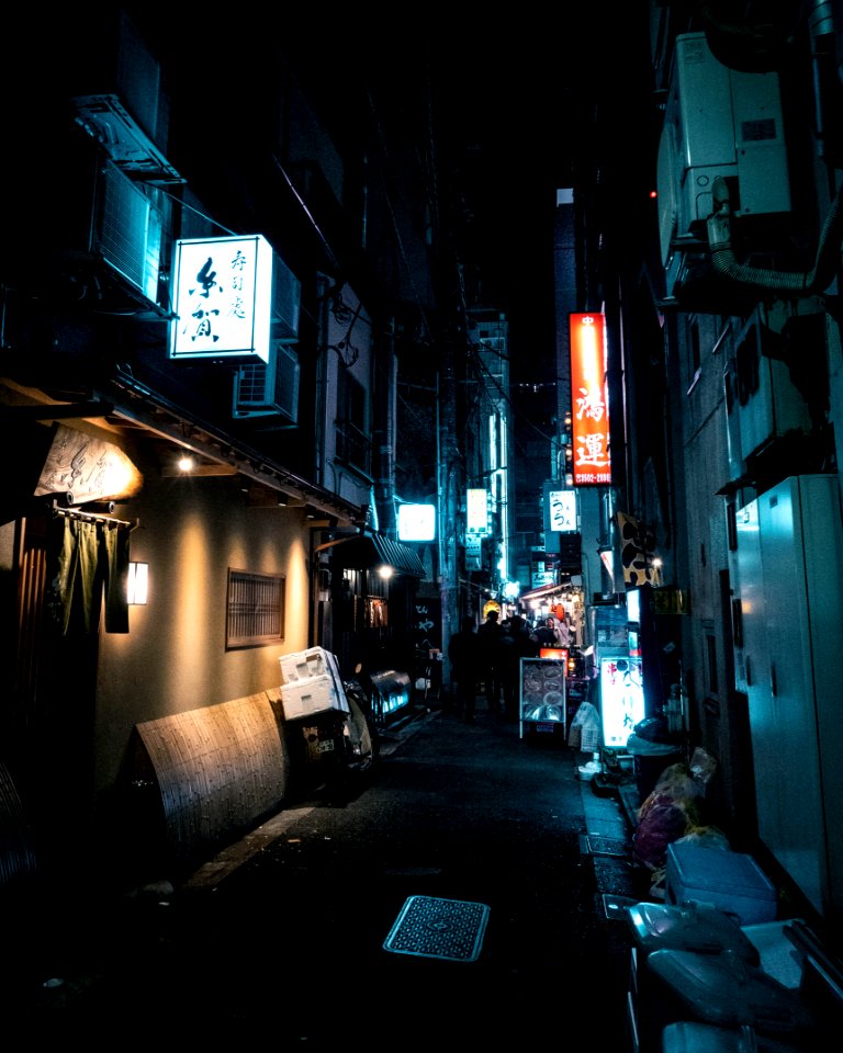 Shinbashi, Tokyo, 27th Dec