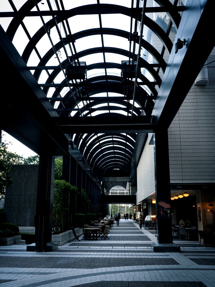 Ark Hills, Akasaka, Tokyo, 30th Jan