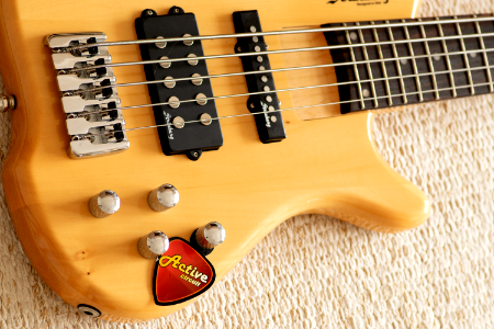 Eletric Bass Strinberg CLB45A - 4