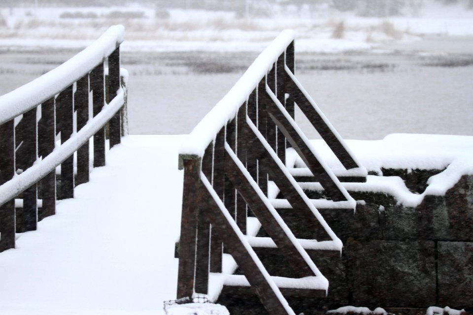New snow makes the world black and white