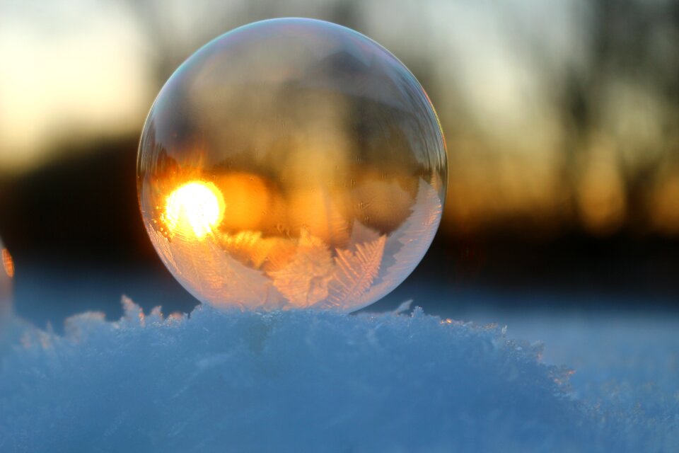 Winter cold frosted