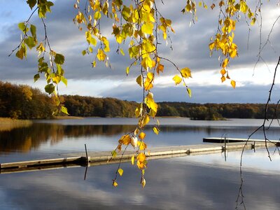 Sweden jetty autumn photo