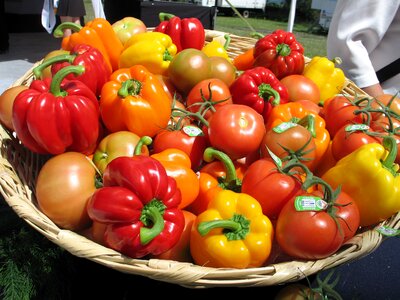 Greenhouse nutrition food
