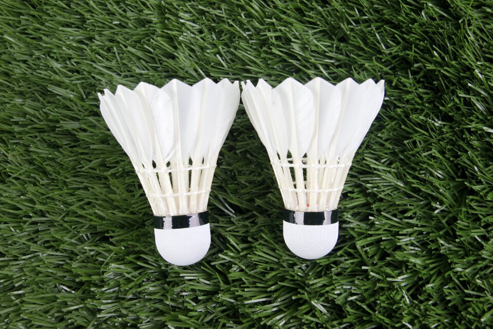 Badminton sport shuttlecock