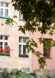 WROCLAW WINDOWBOX