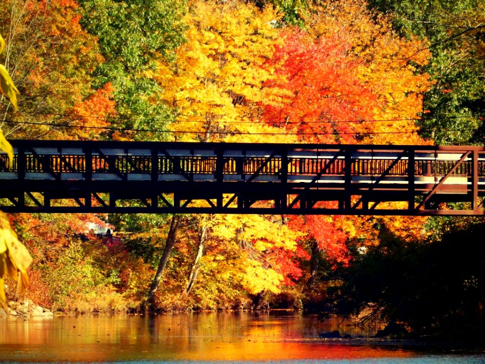 Along the River Trail in Putnam, CT. As seen The Last Green Valley 2018 calendar.