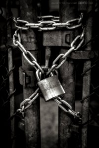 john-salvino-bqGBbLq yfc-unsplash