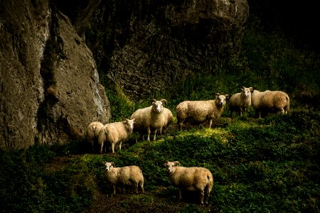 Landscape-20
