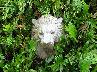 Idol lion head photo