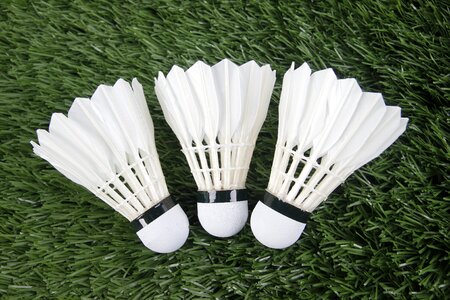 Badminton sport shuttlecock