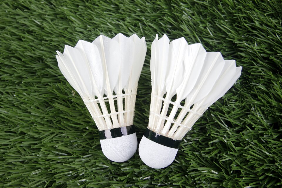Badminton sport shuttlecock