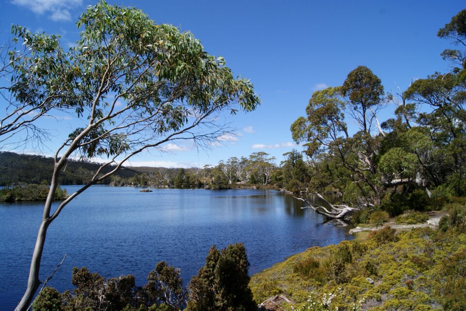 Cradle mountain national park lake windermere scenic