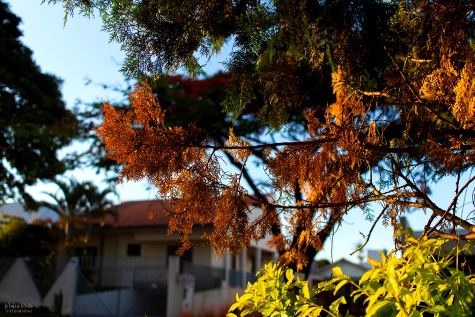 Fotos de inspiração
