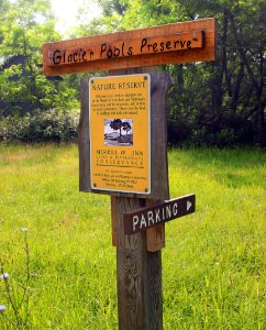 Glacier Pools Preserve (24)