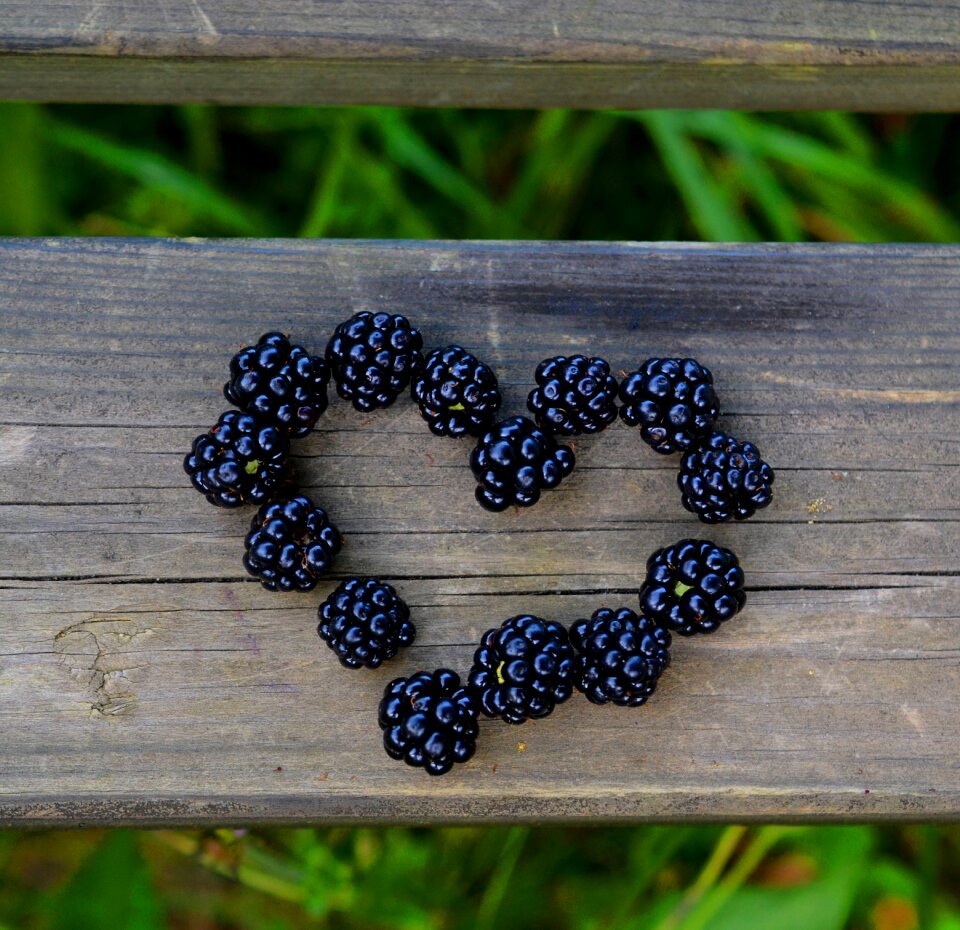 Berry fruits fruit