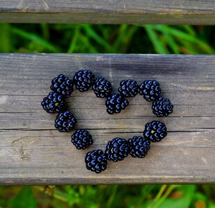 Berry fruits fruit