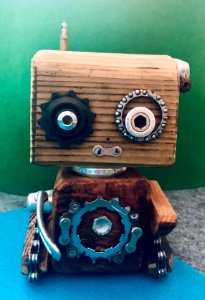 CampyBoT