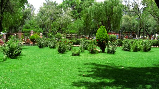DURANGO  CALLES 2006 4   (95)