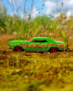hot wheels car toy 64 buick riviera 2019 hw art cars green Day of the Dead scale 1/64 diecast model car