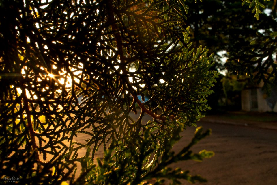 Fotos de inspiração