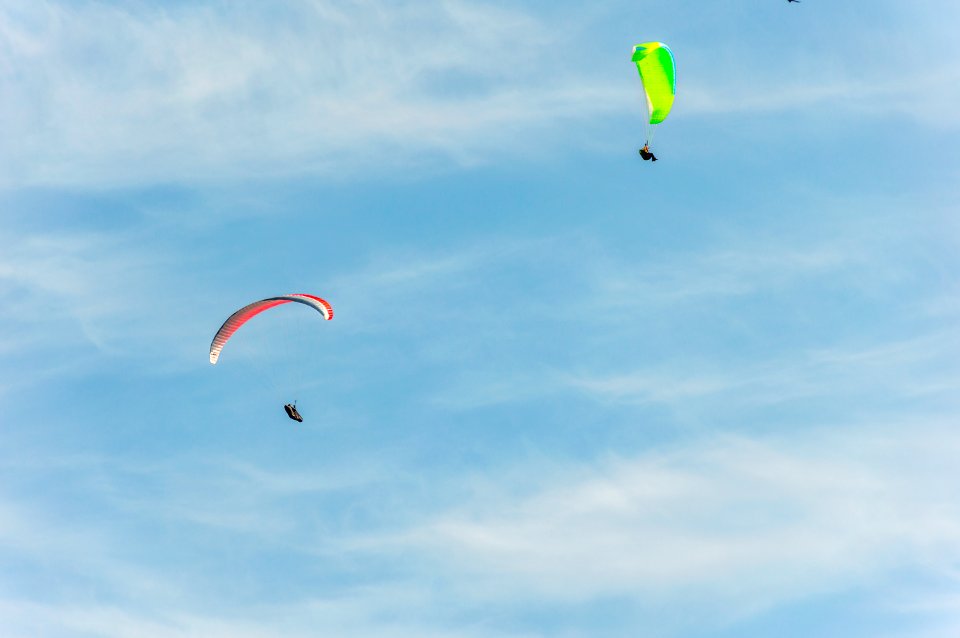 Paragliders