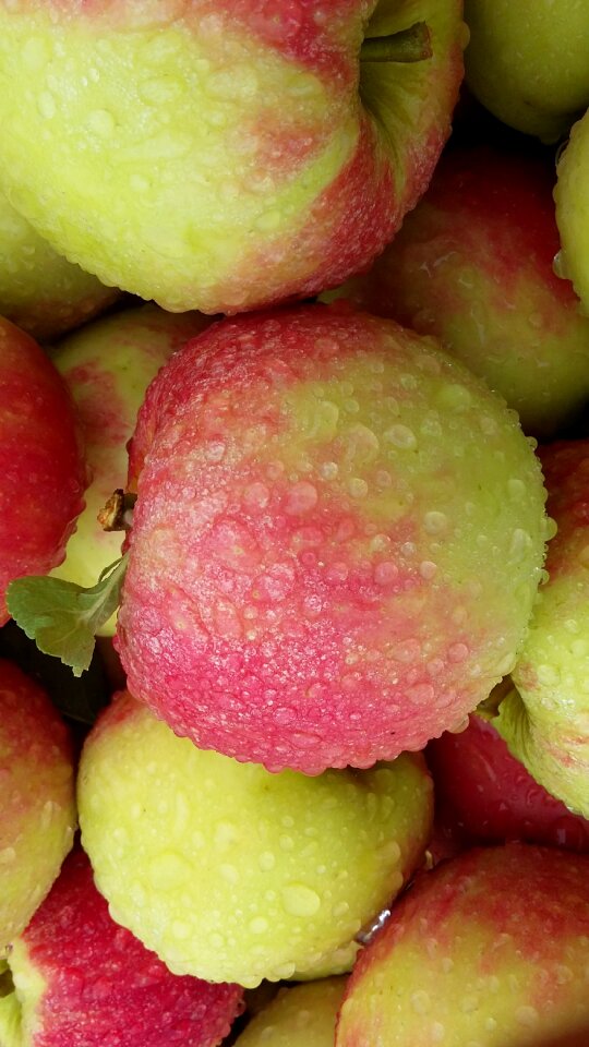 Fruits fruit fresh