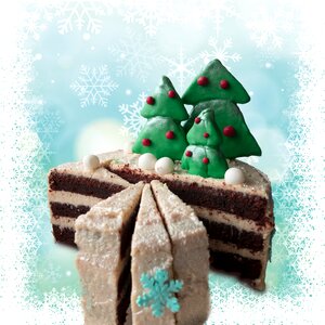 Fir tree snow crystal
