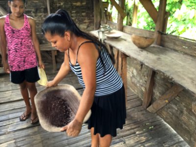 Winnowing cacao beans part 1