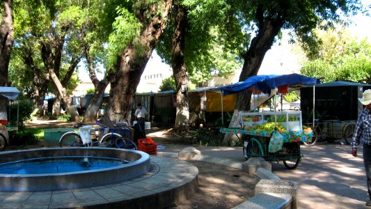 DURANGO  CALLES 2006 3  (57)