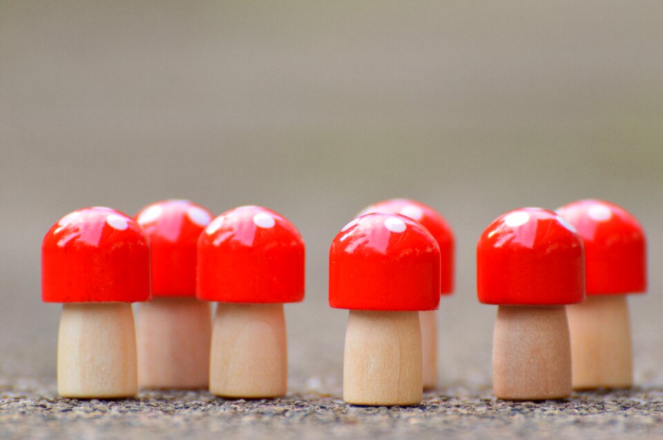 Toys mushroom and design fly agaric