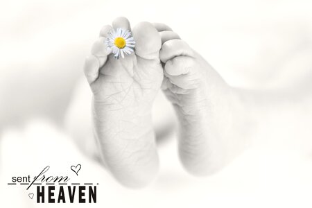 Reborn baby photography infant