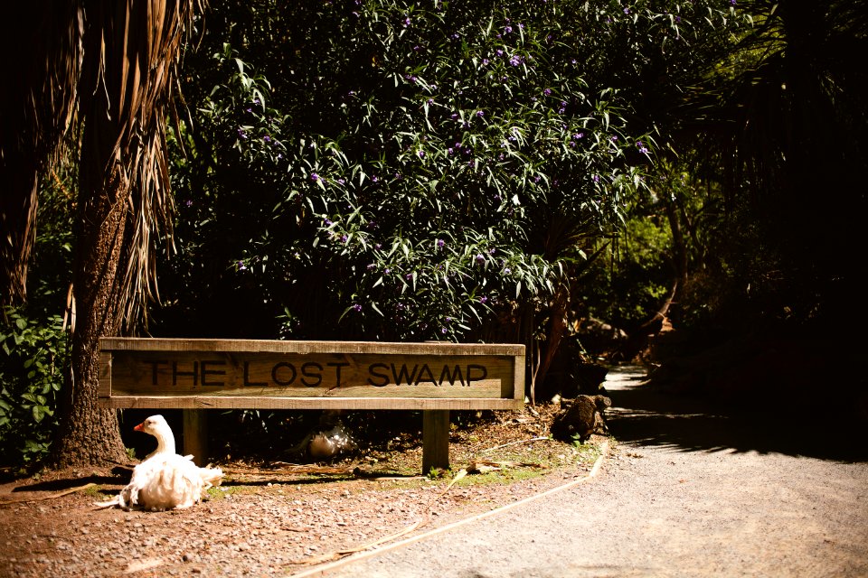 Willowbank Wildlife Reserve