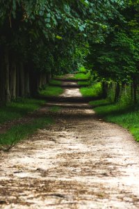 Let's Take  a Walk