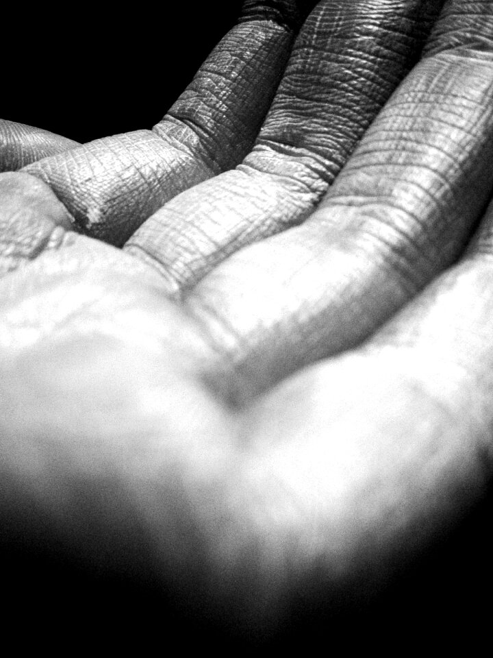 Hand lines texture skin