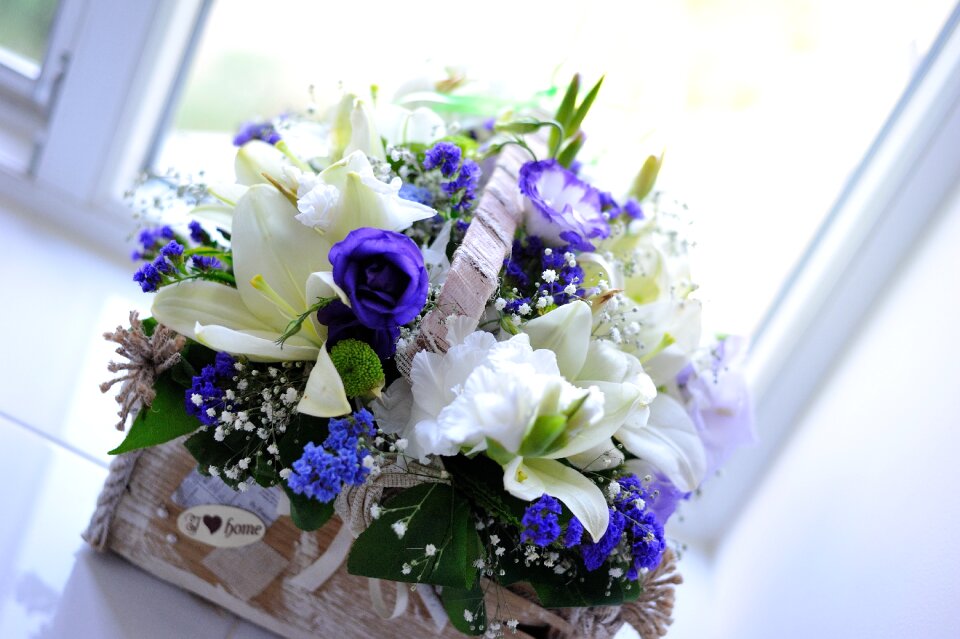 Flower summer flowers basket of flowers