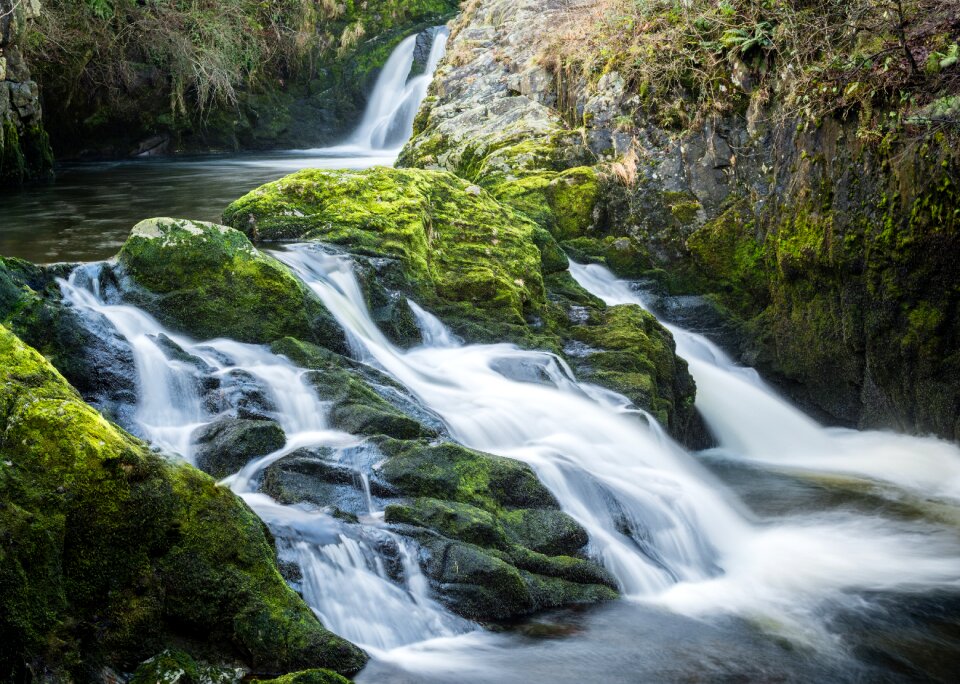 Yorkshire water nature
