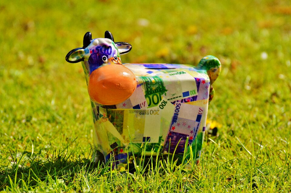 Meadow piggy bank funny