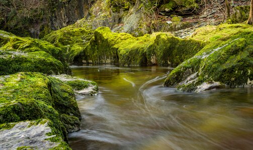 Moss green stream