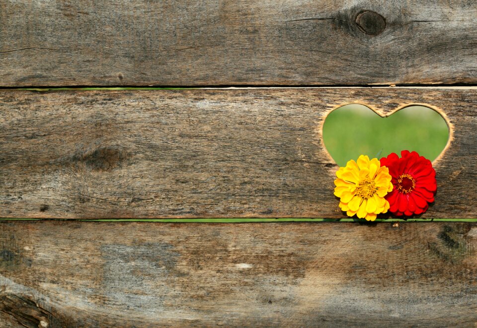 Board background valentine
