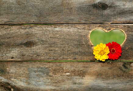 Board background valentine