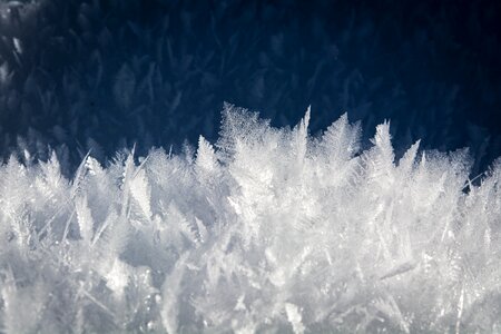 Nature frozen winter photo