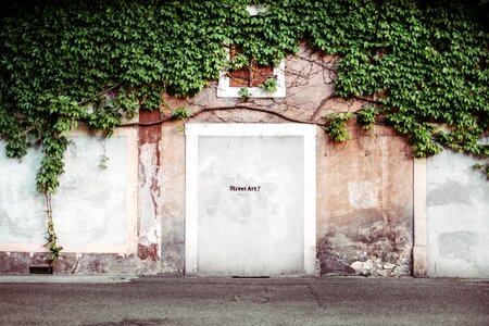 Sidewalk vines wall