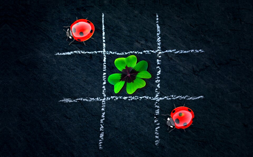 Tic tac toe lucky ladybug puzzles
