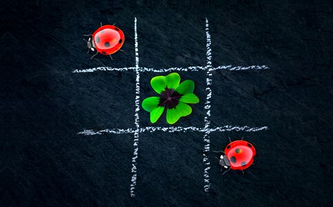 Tic tac toe lucky ladybug puzzles photo