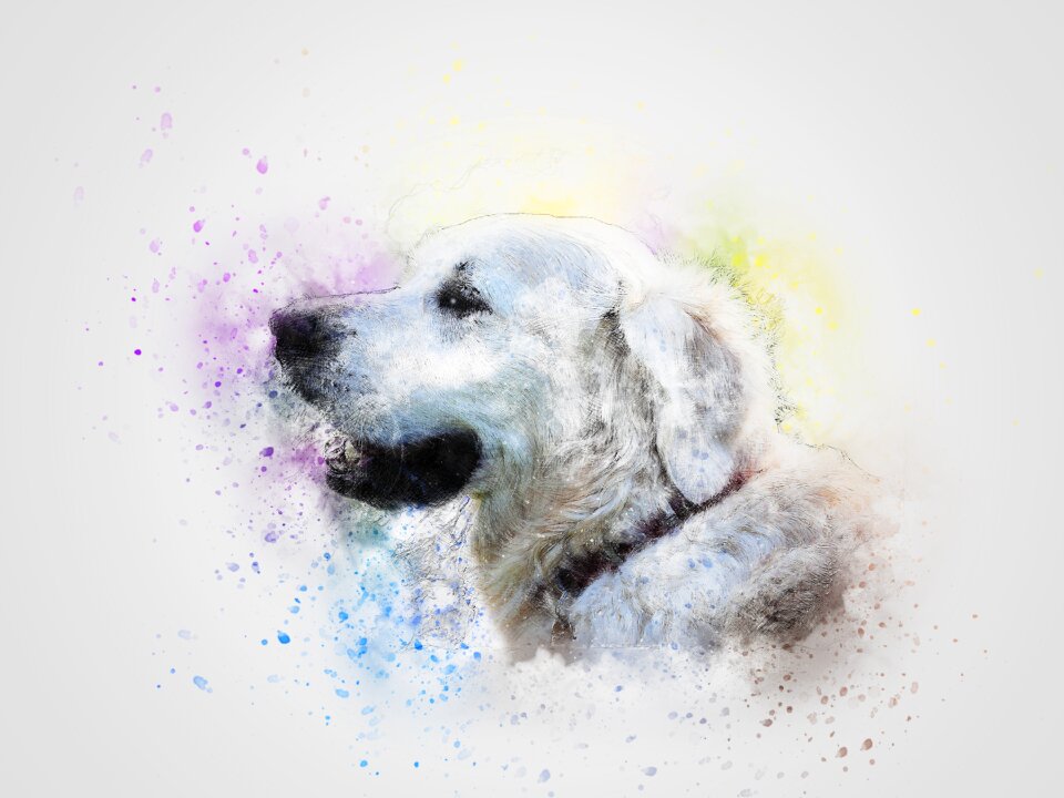 Art abstract retriever