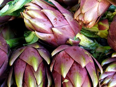 Healthy food artichoke plant photo
