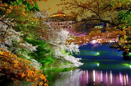 Japan castle night view photo