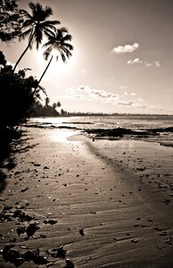 Brazilwood sunset beach