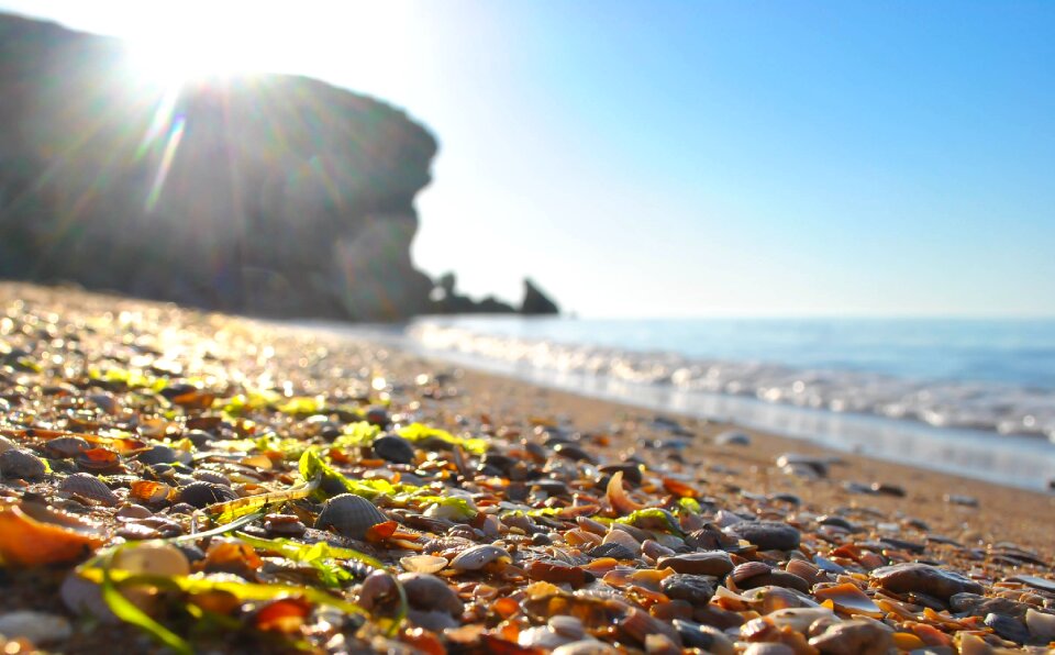 Beach sea nature